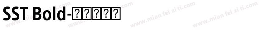 SST Bold字体转换